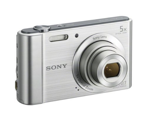 Sony W800/S 20.1 MP Digital Camera (Silver)