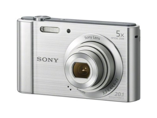 Sony W800/S 20.1 MP Digital Camera (Silver)