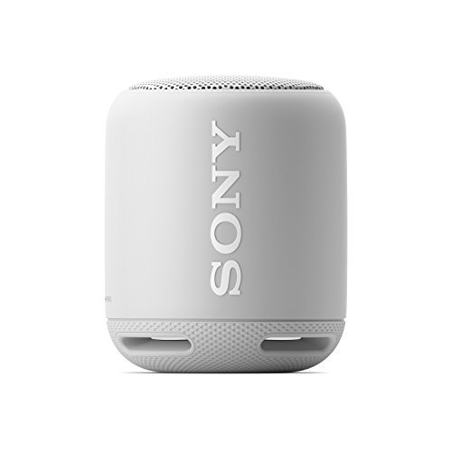 Sony XB10 Portable Wireless Speaker with Bluetooth, Grey (2017 model)