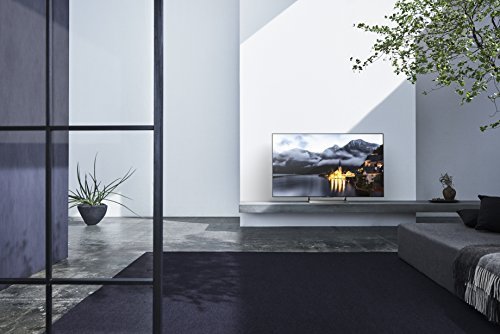 Sony XBR49X900E 49-Inch 4K Ultra HD Smart LED TV (2017 Model)