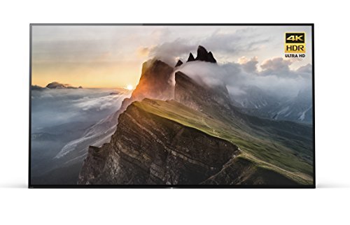 Sony XBR55A1E 55-inch 4K Ultra HD Smart Bravia OLED TV (2017 Model)