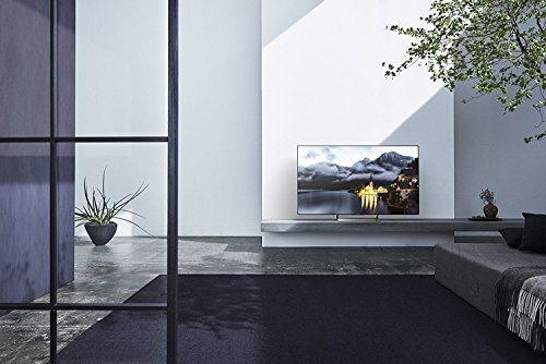 Sony XBR65X900E 65-Inch 4K Ultra HD Smart LED TV (2017 Model)