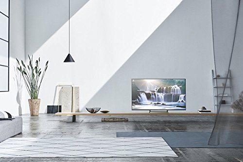 Sony XBR65X930E 65-Inch 4K HDR Ultra HD TV (2017 Model)