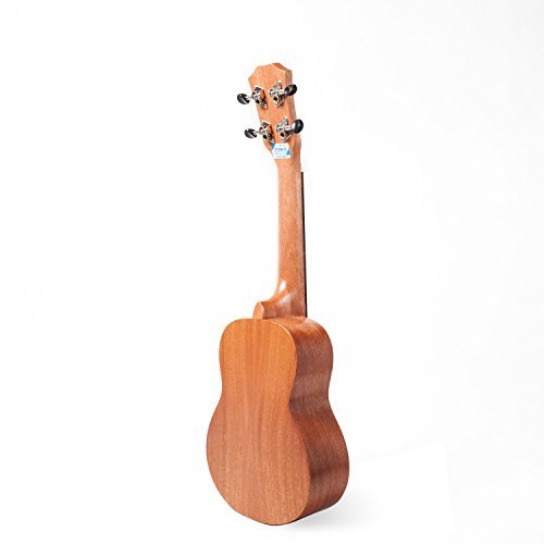 Soprano Mahogany Ukulele 21 Inch for Begginers with Gig Bag