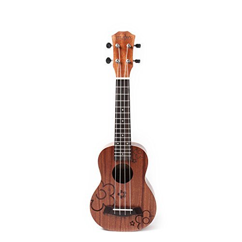 Soprano Mahogany Ukulele 21 Inch for Begginers with Gig Bag