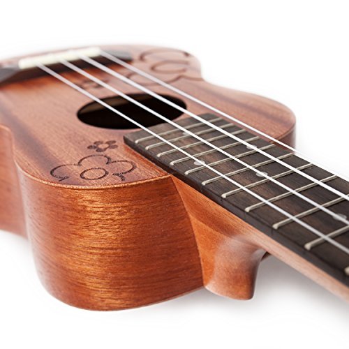 Soprano Mahogany Ukulele 21 Inch for Begginers with Gig Bag