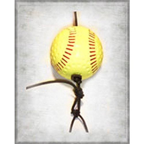 SwingAway Professional Softball Kit