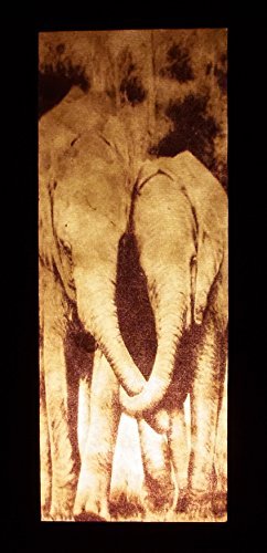 Thai Vintage Handmade Asian Oriental Family Elephant Bedside Table Light or Floor Wood Paper Lamp Shades Home Bedroom Garden Decor Modern Design from Thailand