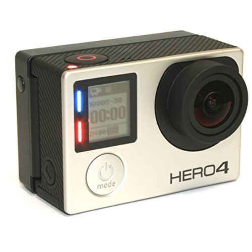 Wasabi Power Extended Battery compatible with GoPro HERO4, HERO3+, HERO3 (with Backdoors)