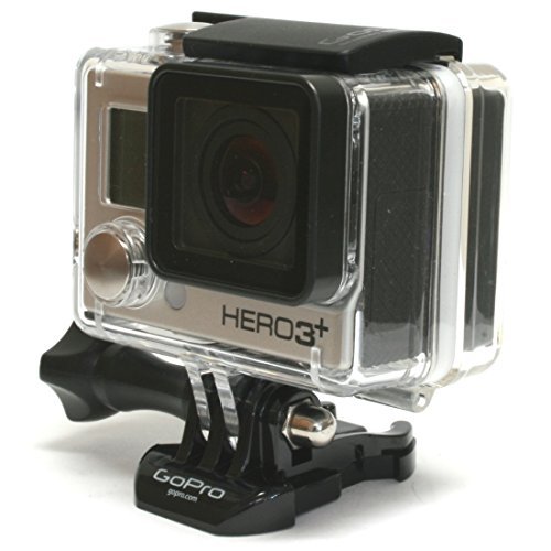 Wasabi Power Extended Battery compatible with GoPro HERO4, HERO3+, HERO3 (with Backdoors)