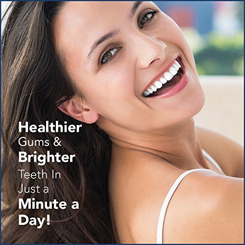 Waterpik Aquarius Water Flosser, WP-660