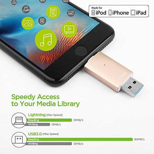 iPhone Lightning Flash Drive 64GB, Omars USB 3.0 External Storage Memory Stick Adapter Expansion for iPad iOS PC Macbook Gold [Apple MFI Certified]